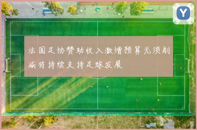 法国足协赞助收入激增预算无须削减将持续支持足球发展