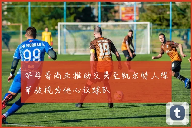 字母哥尚未推动交易至凯尔特人绿军被视为他心仪球队